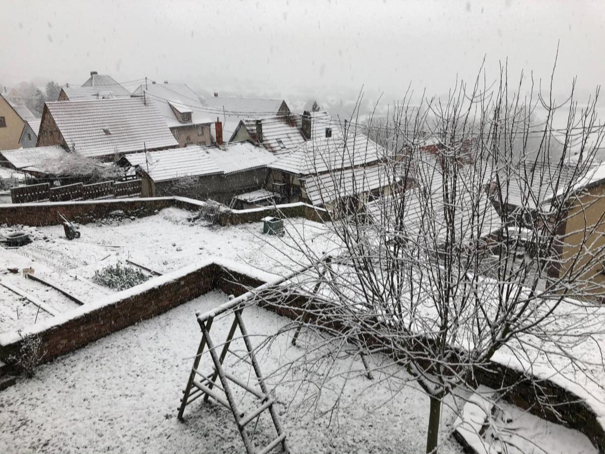 Gite L'Instant Durable Oberbronn Exteriér fotografie