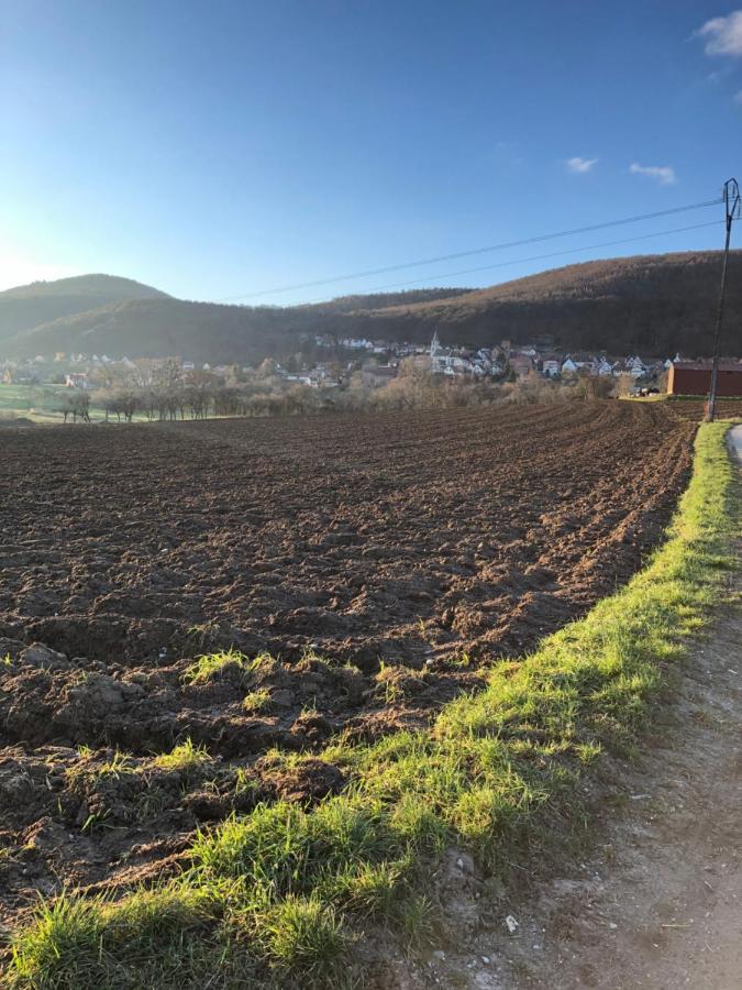 Gite L'Instant Durable Oberbronn Exteriér fotografie